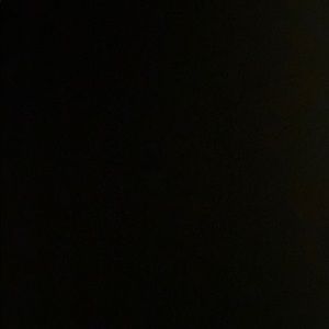 Meet your Posher, Sasha